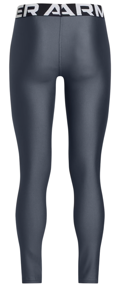 Leggingsit Under Armour Under Armour HG Leggings Harmaa | 1390069-044, 1
