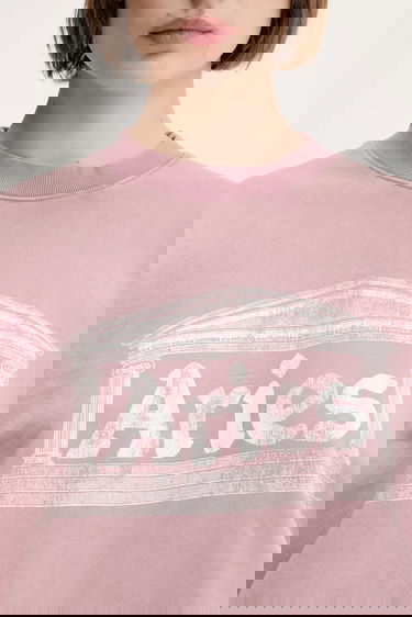 Huppari Aries Aries Aged Ancient Column Graphic Sweatshirt Vaaleanpunainen | AR2003303, 7