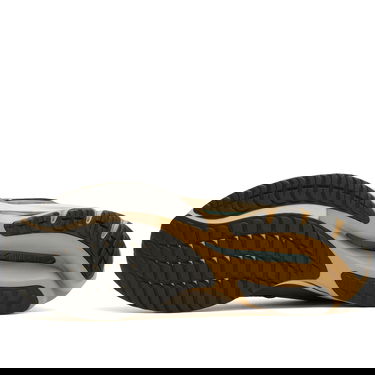 Tennarit ja kengät Mizuno WAVE RIDER Ruskea | D1GA3309-24, 5