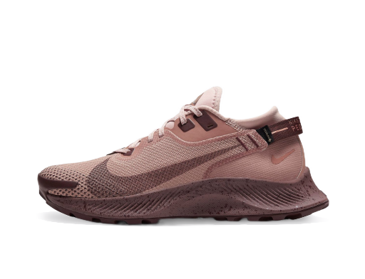 Juoksu Nike Pegasus Trail 2 GTX W Vaaleanpunainen | cu2018-200