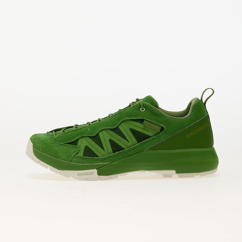 Outdoor Salomon Alpinway SP2 Vihreä | L47707700