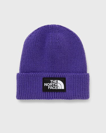 Pipo The North Face Logo Box Cuffed Beanie Violetti | NF0A8CHENL41, 1