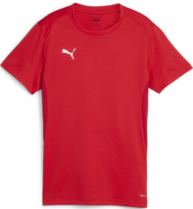 Jersey Puma teamGOAL Jersey W Punainen | 658638-01