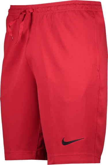 Shortsit Nike Nike Strike22 Shorts Punainen | dh9363-687, 0