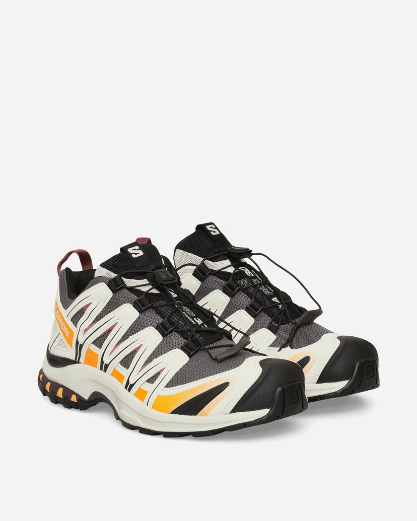 Asusteet Salomon XA PRO 3D Beige | L47867700