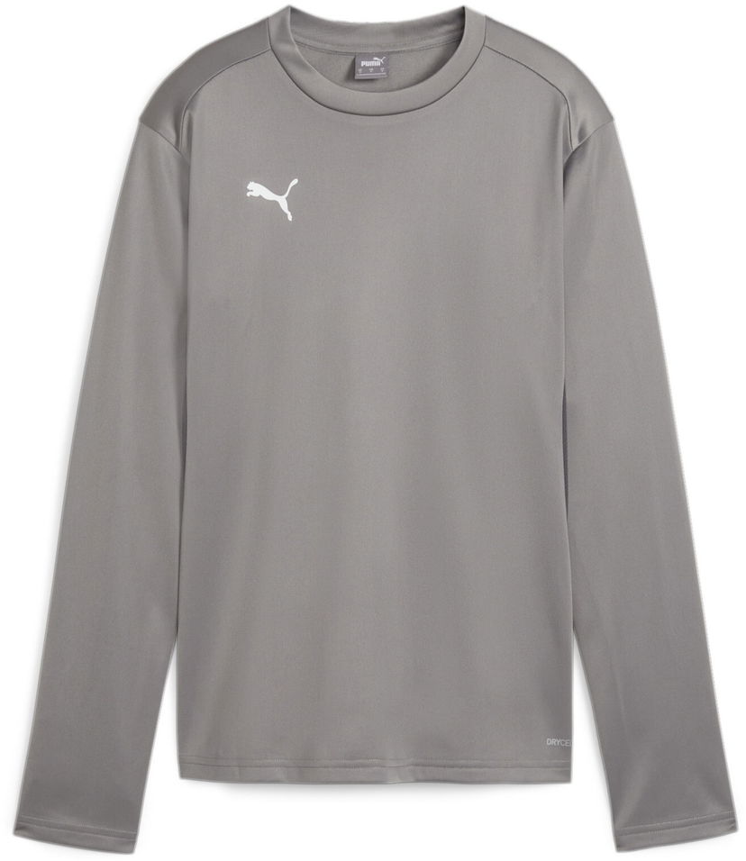 Huppari Puma teamGOAL Training Sweatshirt Harmaa | 658652-13