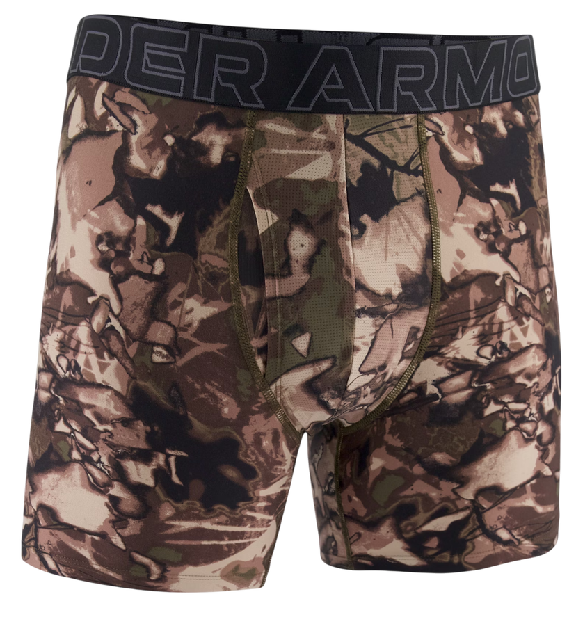 Nyrkkeilijät Under Armour Under Armour Graphic 6" Boxer Shorts Monivärinen | 1383875-391
