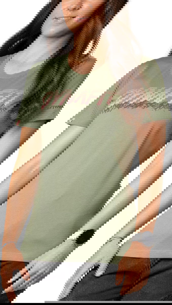 T-paita Dynafit T-Shirt Graphic Print Vihreä | 08-0000070999-5291, 0