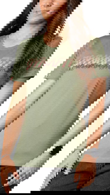 T-paita Dynafit T-Shirt Graphic Print Vihreä | 08-0000070999-5291, 0