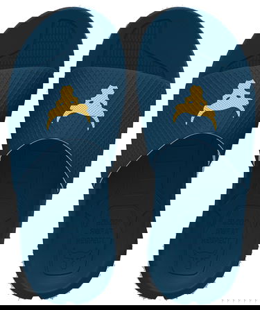 Tennarit ja kengät Under Armour Project Rock Slides Sininen | 3025237-400, 4