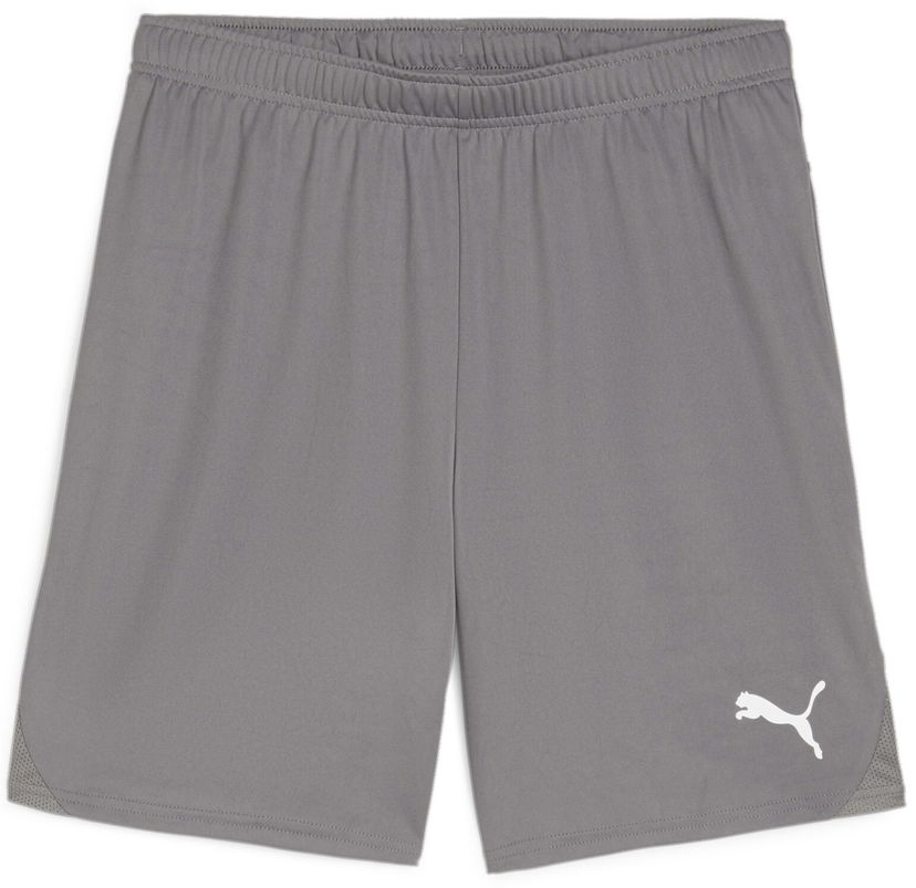 Shortsit Puma teamGOAL Shorts Harmaa | 705752-13