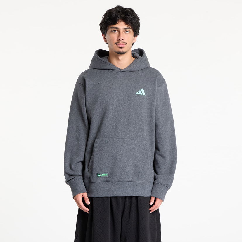 Huppari adidas Performance Mercedes-AMG Petronas Formula One Team Premium Hoodie Harmaa | JX8778