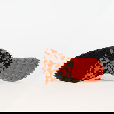 Tennarit ja kengät adidas Performance adidas TERREX Terrex Agravic Speed Trail Running Musta | IG8017, 5