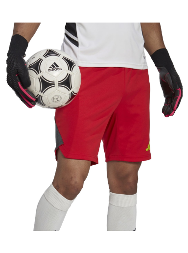 Shortsit adidas Performance Tiro 23 Pro Goalkeeper Shorts Punainen | ht2416