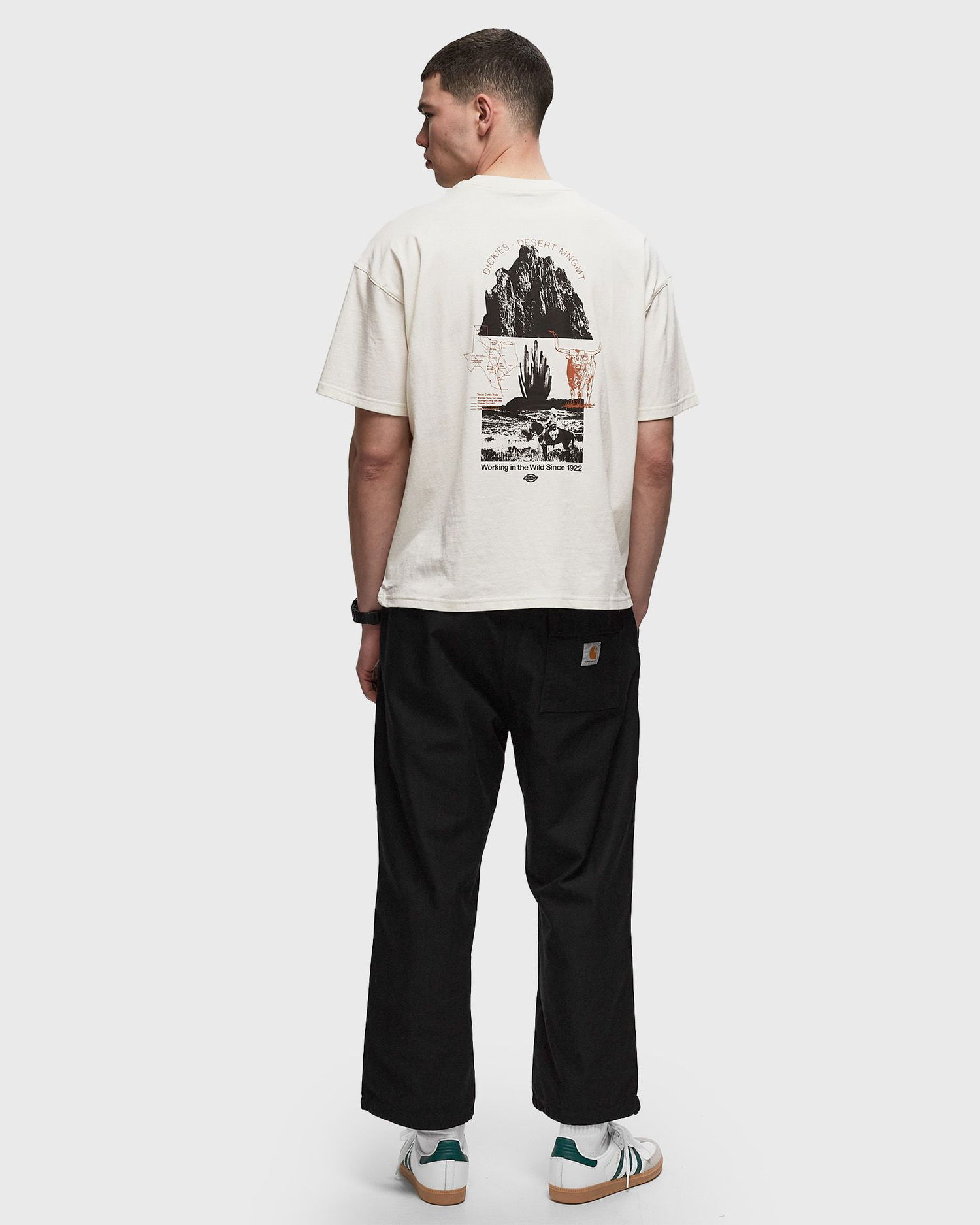 T-paita Dickies Pearisburg T-Shirt Valkoinen | 0A4YRK, 1
