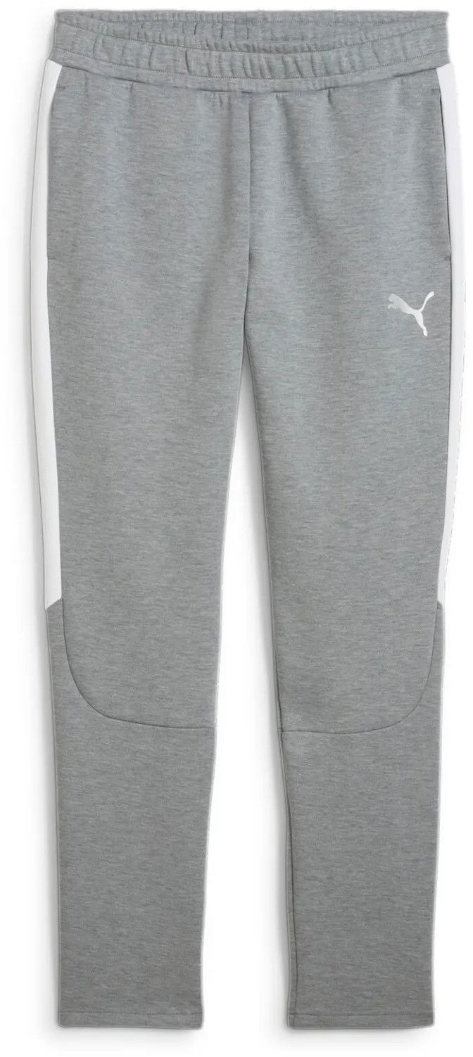 Verryttelyhousut Puma Puma teamEVOSTRIPE Pants Harmaa | 659948-33