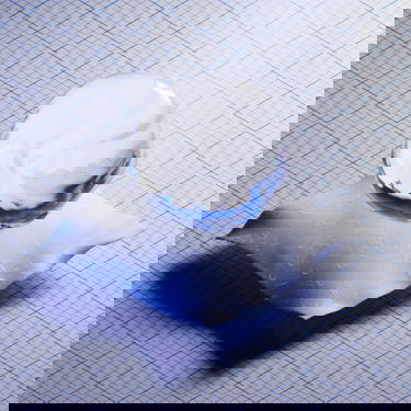 Tuulitakki adidas Performance Myshelter Rain.Rdy Jacket Keltainen | IM8529, 3