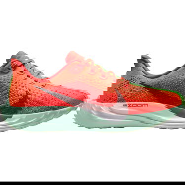 Tennarit ja kengät Nike Pegasus Plus Punainen | FQ7261, 0