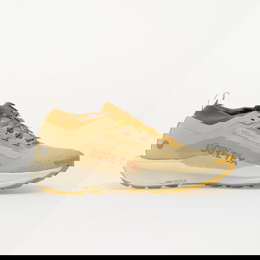 Tennarit ja kengät Nike React Pegasus Trail 5 GTX SP Beige | HQ7494-700, 2