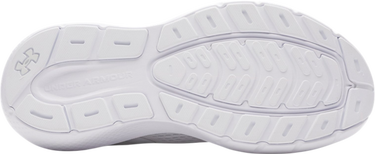 Tennarit ja kengät Under Armour Charged Rogue 5 Valkoinen | 3028262-100, 2