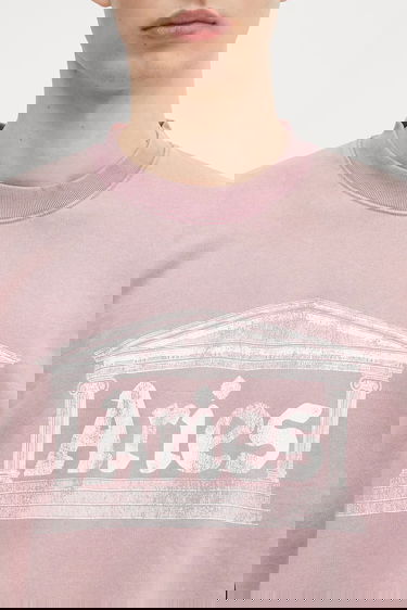 Huppari Aries Aries Aged Ancient Column Graphic Sweatshirt Vaaleanpunainen | AR2003303, 6