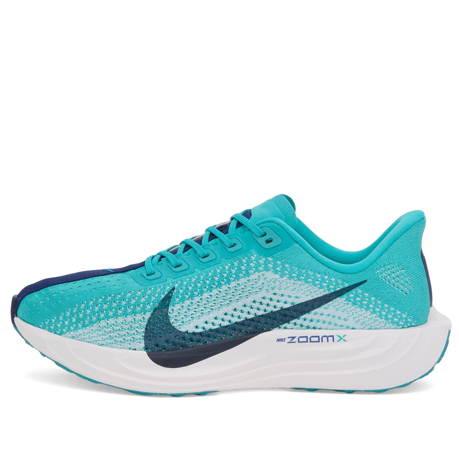 Tennarit ja kengät Nike Pegasus Plus Size Turkoosi | FQ7262-301, 1