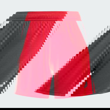Shortsit adidas Performance Tiro 24 Punainen | IR9373, 4