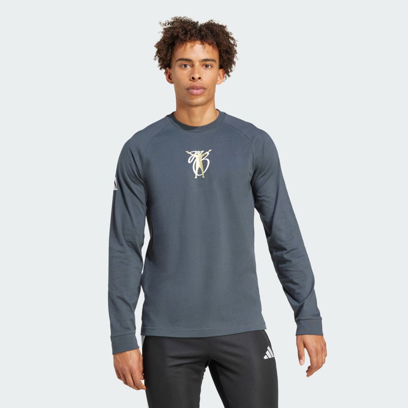 T-paita adidas Performance Long Sleeve Graphic Tee Harmaa | JM9351