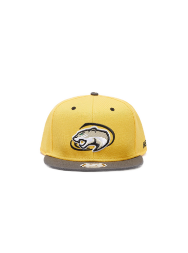 Korkki Puma x Hometown Heroes Basketball FB Cap Spectra Keltainen | 02369402