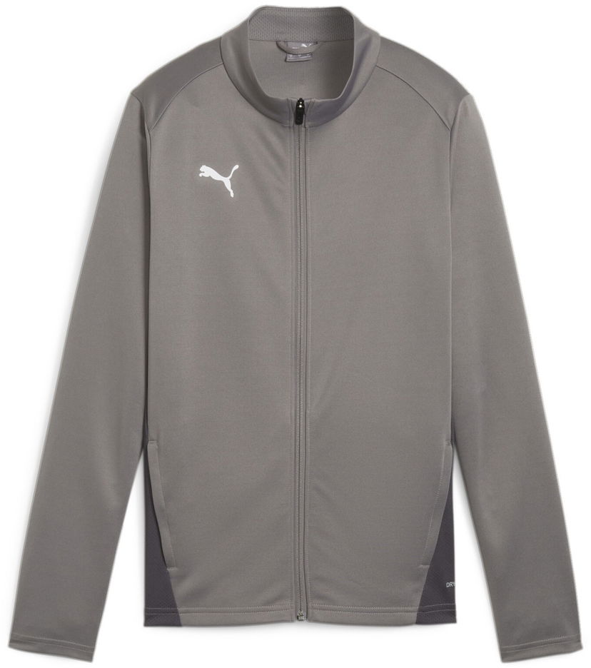 Takki Puma teamGOAL Training Jacket Harmaa | 658635-13